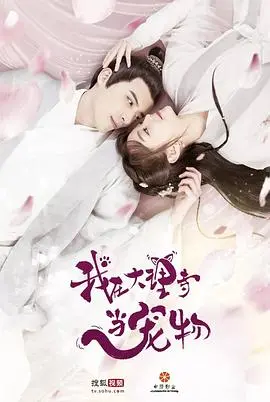 我在大理寺当宠物：萌宠探案，古装轻喜剧带你解压