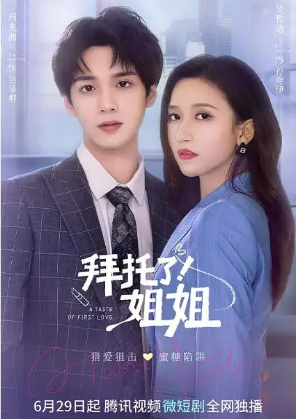 《拜托了！姐姐》：笑泪齐飞的韩剧，看傲娇姐姐如何守护家人与爱情！